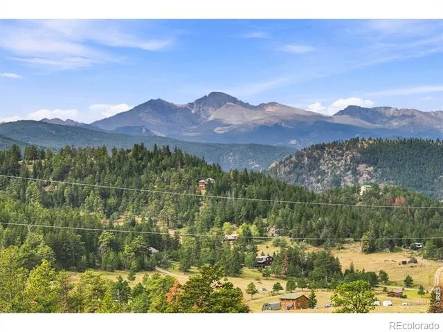 981 Palisade Mountain Drive Drake, CO 80515