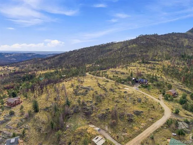 981 Palisade Mountain Drive Drake, CO 80515