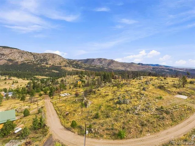 981 Palisade Mountain Drive Drake, CO 80515