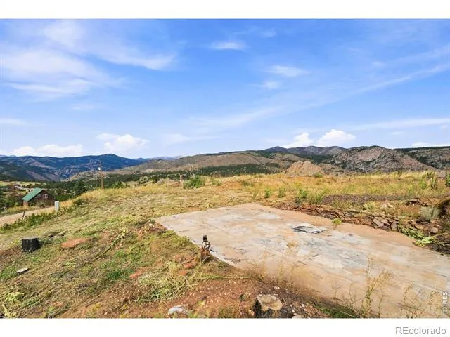 981 Palisade Mountain Drive Drake, CO 80515