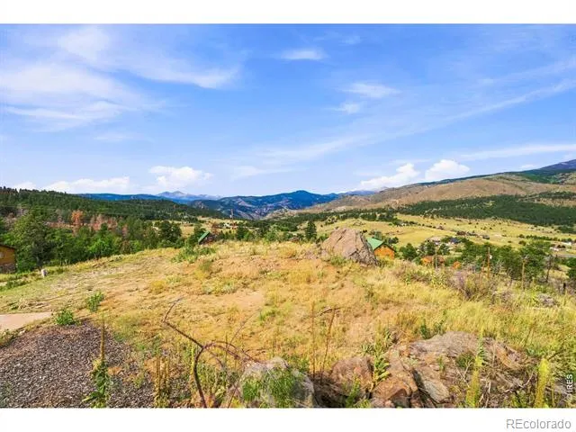 981 Palisade Mountain Drive Drake, CO 80515