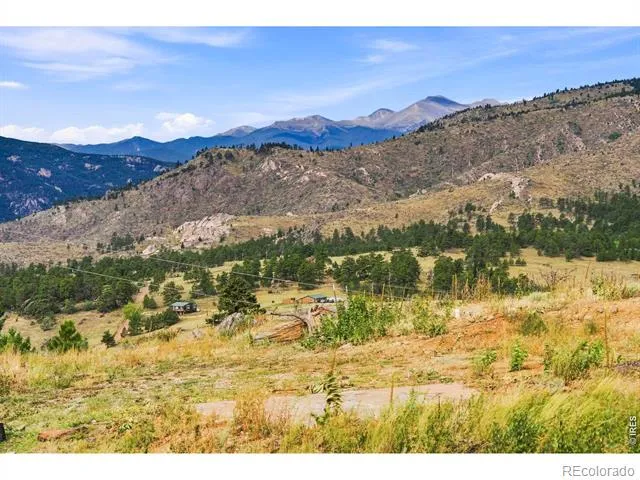 981 Palisade Mountain Drive Drake, CO 80515