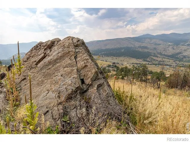 981 Palisade Mountain Drive Drake, CO 80515