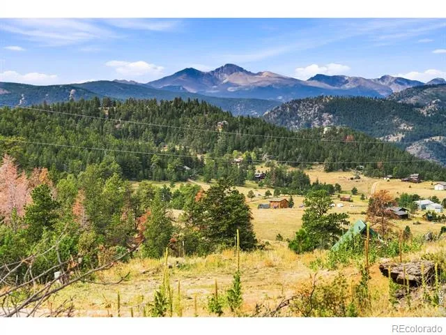 981 Palisade Mountain Drive Drake, CO 80515