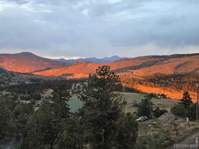 981 Palisade Mountain Drive Drake, CO 80515