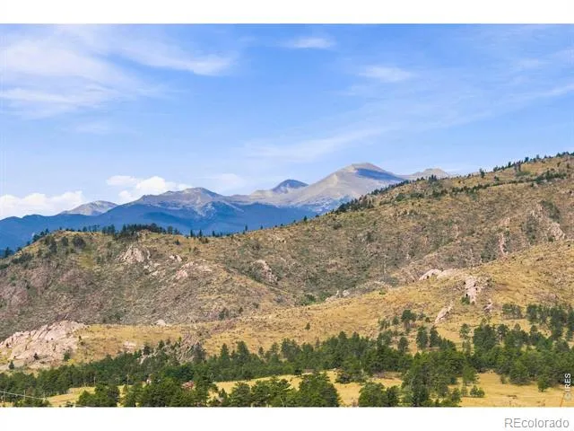 981 Palisade Mountain Drive Drake, CO 80515