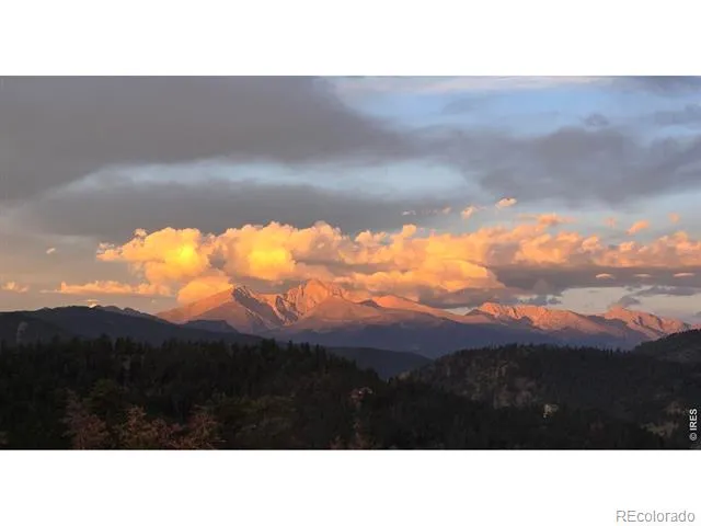 981 Palisade Mountain Drive Drake, CO 80515