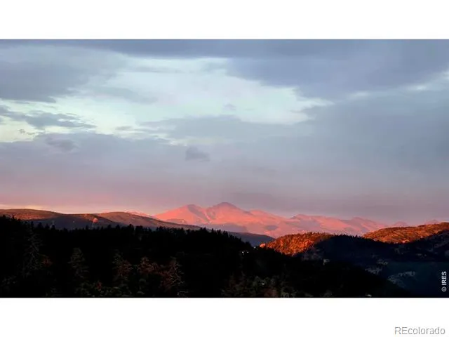 981 Palisade Mountain Drive Drake, CO 80515