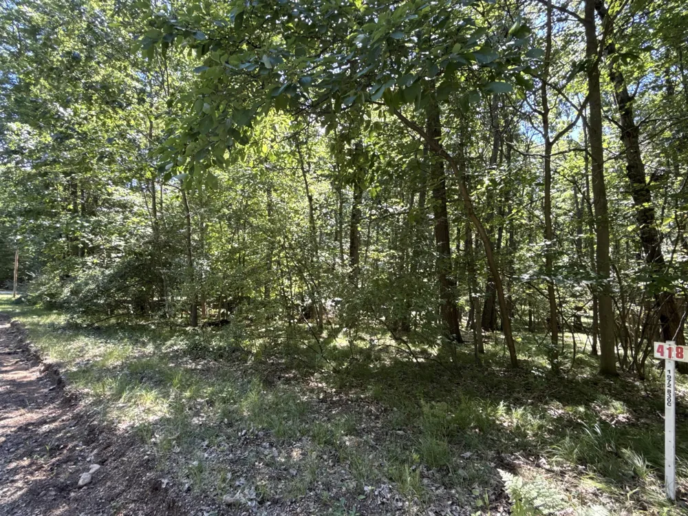 Vacant Land Bundle Stanwood, MI 49346