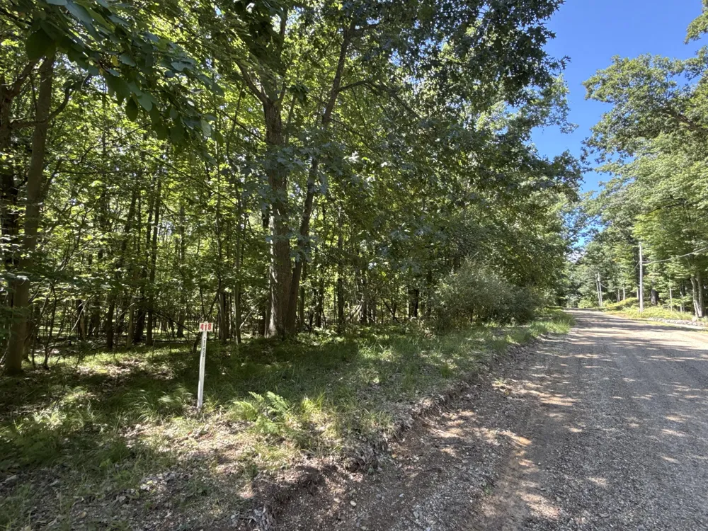 Vacant Land Bundle Stanwood, MI 49346