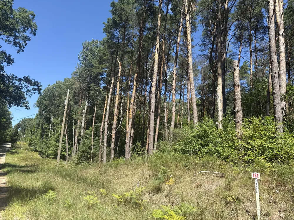 Vacant Land Bundle Stanwood, MI 49346