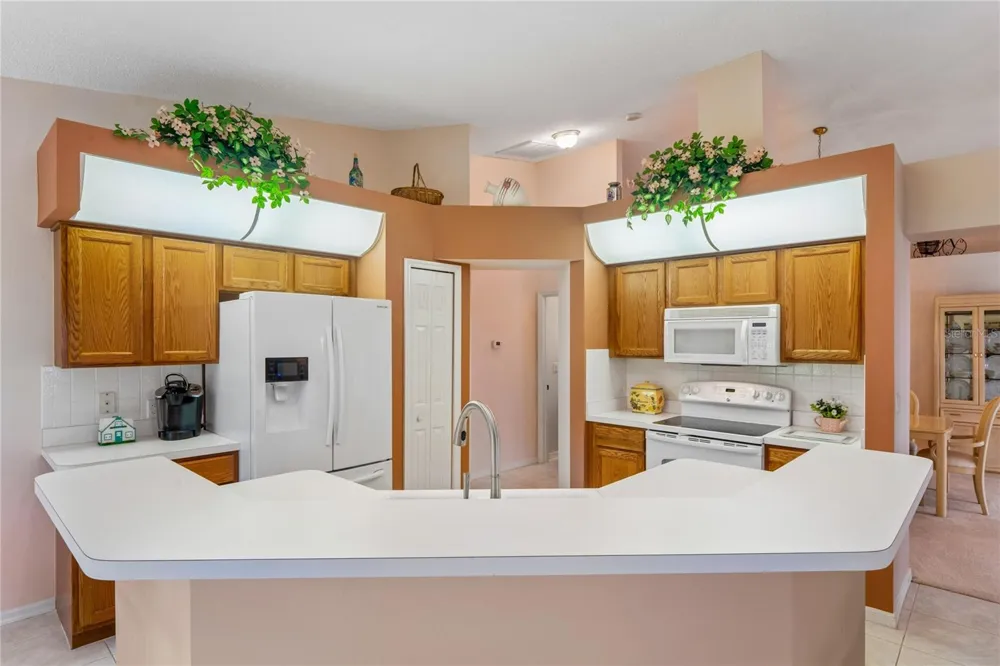 430 CANDLESTONE COURT Spring Hill, FL 34609
