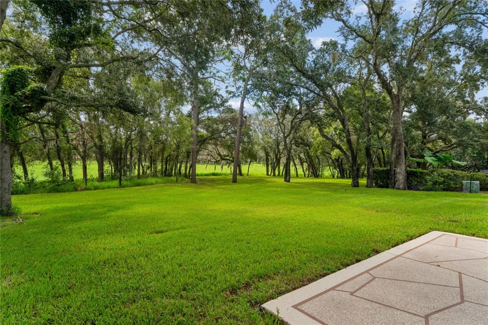 430 CANDLESTONE COURT Spring Hill, FL 34609