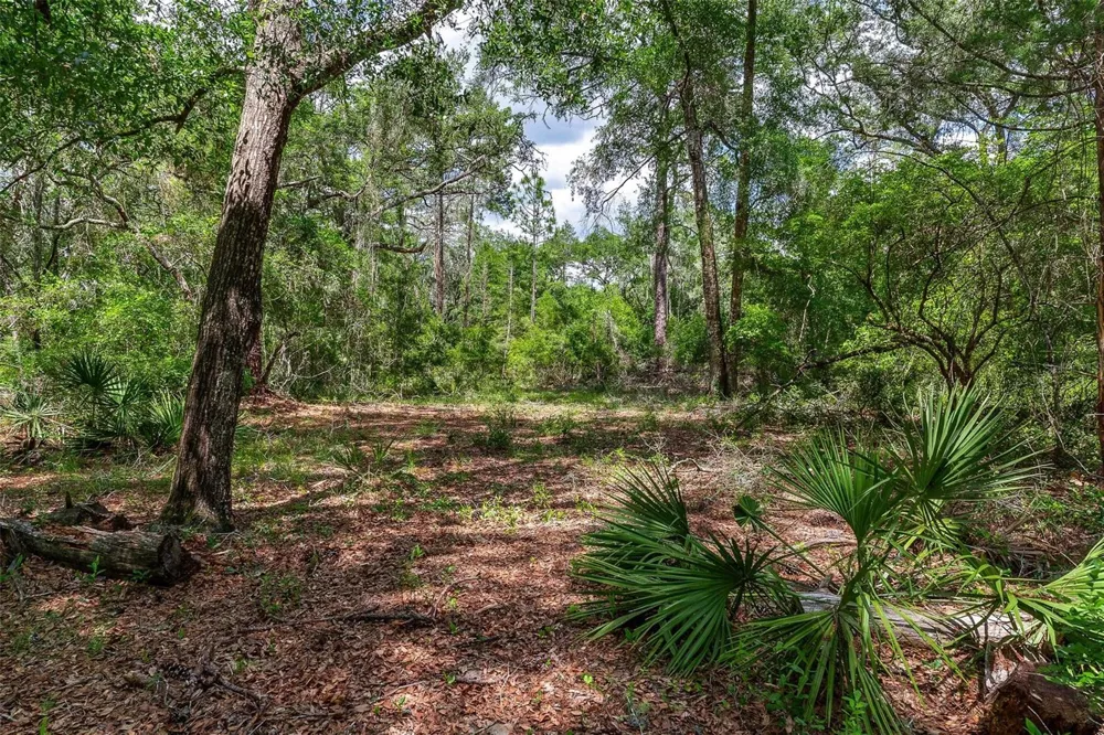SE 152ND - LOT 16 (RAVENSWOOD RD) PARCEL B PLACE Altoona, FL 32702