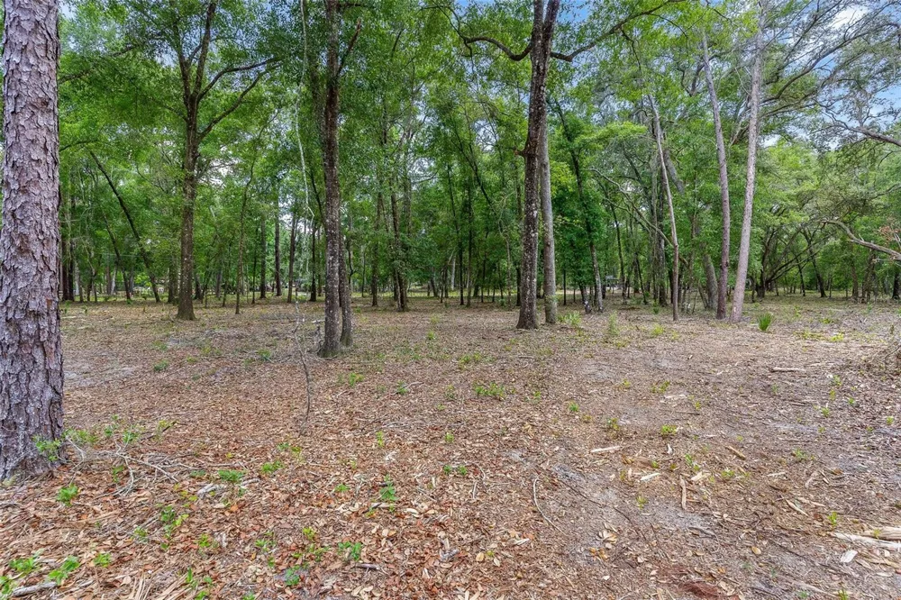 SE 152ND - LOT 16 (RAVENSWOOD RD) PARCEL B PLACE Altoona, FL 32702