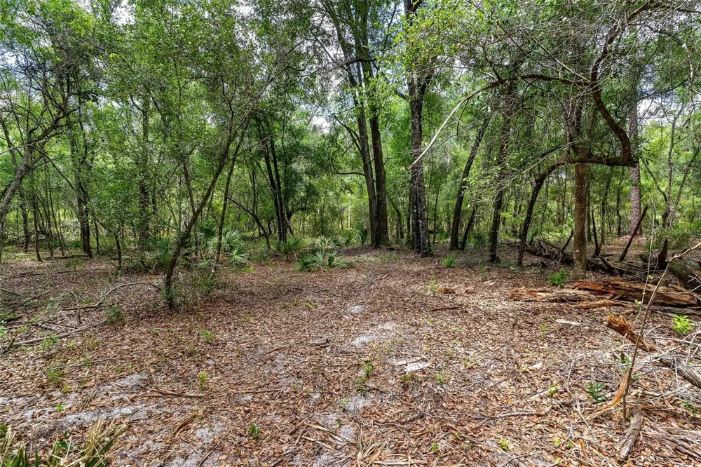 SE 152ND - LOT 16 (RAVENSWOOD RD) PARCEL B PLACE Altoona, FL 32702