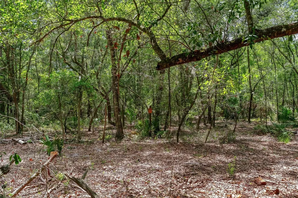 SE 152ND - LOT 16 (RAVENSWOOD RD) PARCEL B PLACE Altoona, FL 32702