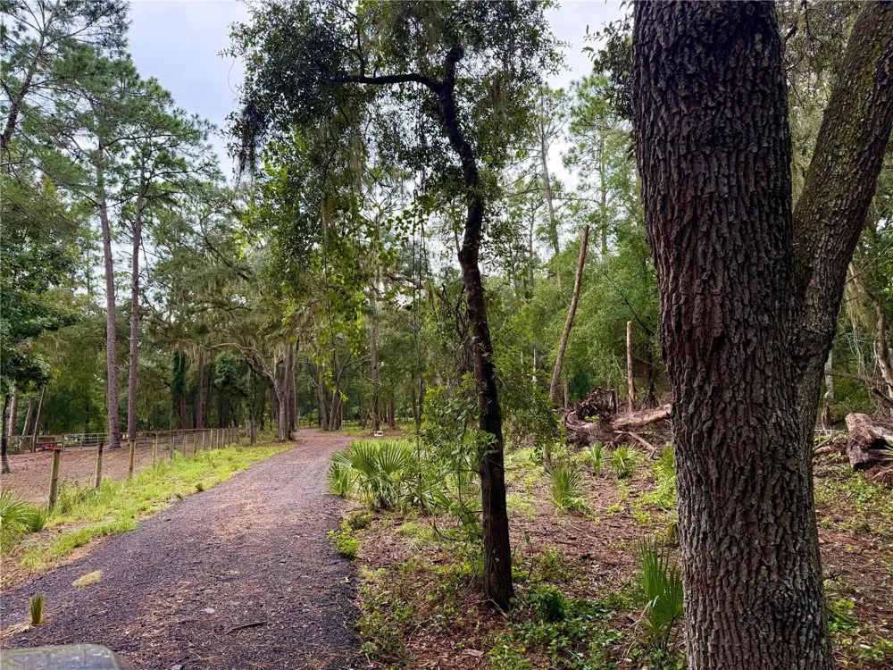 SE 152ND - LOT 16 (RAVENSWOOD RD) PARCEL B PLACE Altoona, FL 32702