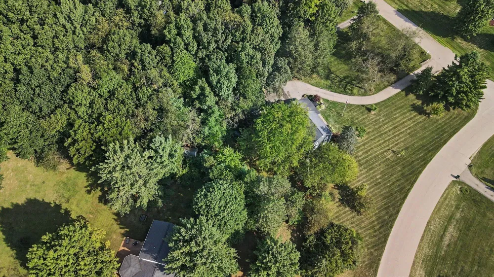 9712 Timber Hill Court Dexter Township, MI 48130