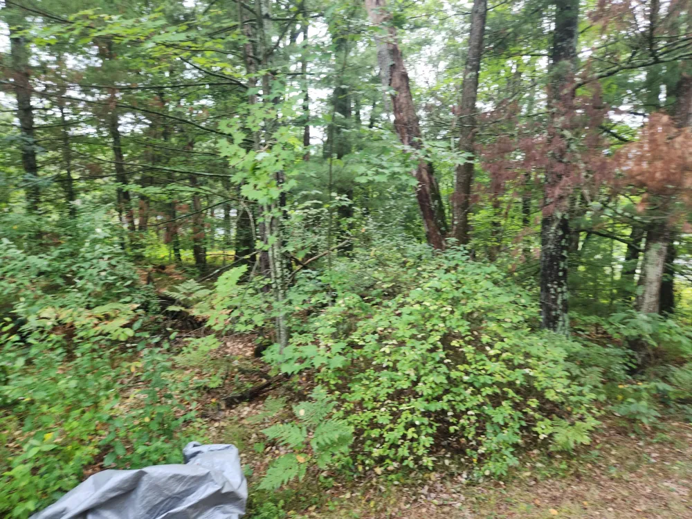 6203 S Gold Drive Yates Township, MI 49642