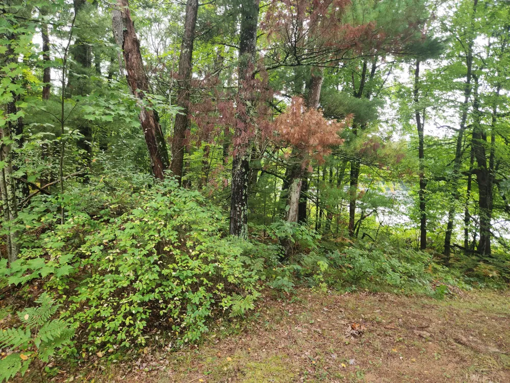 6203 S Gold Drive Yates Township, MI 49642