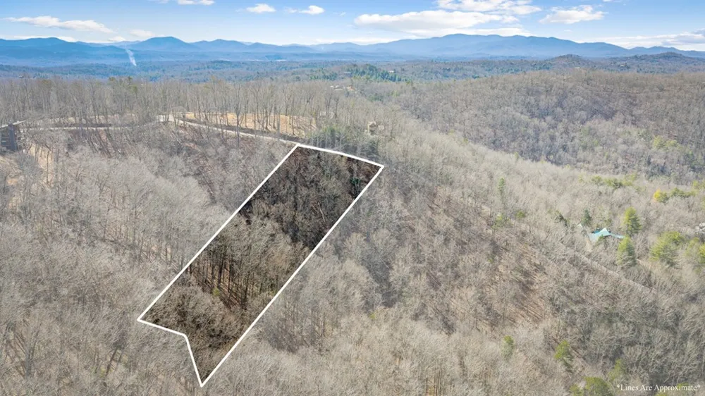 Lot 20 Raven Ridge Circle Mineral Bluff, GA 30559