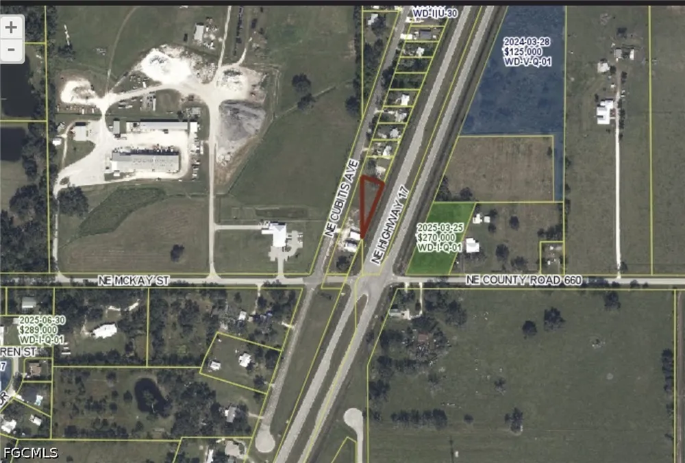 NE Cubitis Avenue Arcadia, FL 34266