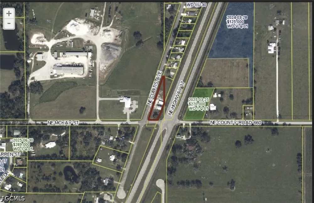 NE Cubitis Avenue Arcadia, FL 34266
