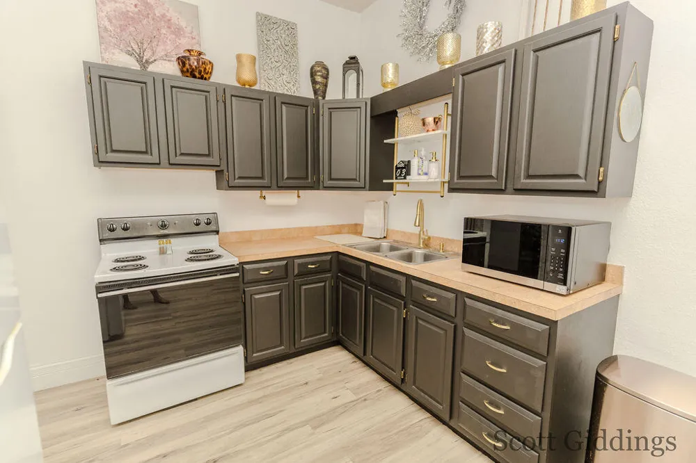 205 S Lincoln Street Stanton City, MI 48888