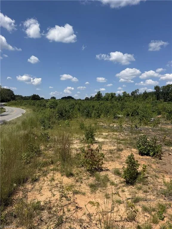 0000 Mizpah Church Road Reidsville, NC 27320