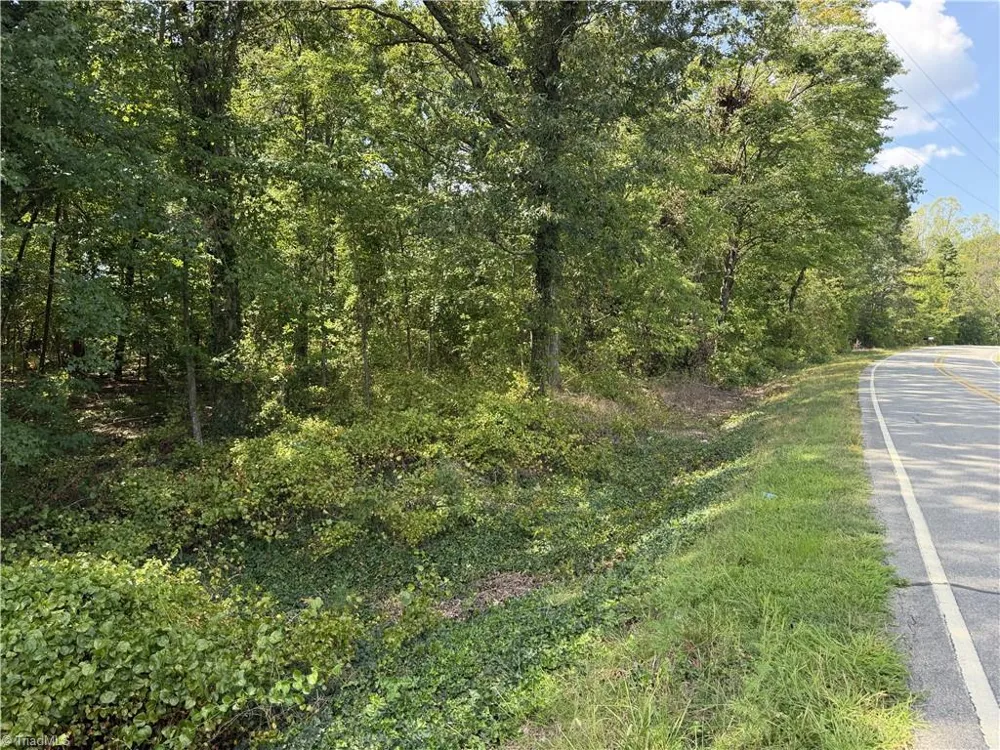 00000 Mizpah Church Road Reidsville, NC 27320