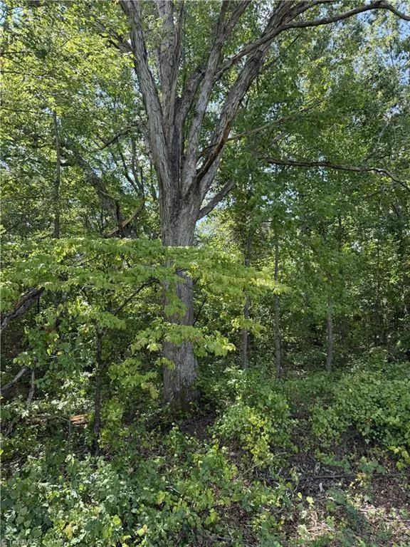 00000 Mizpah Church Road Reidsville, NC 27320