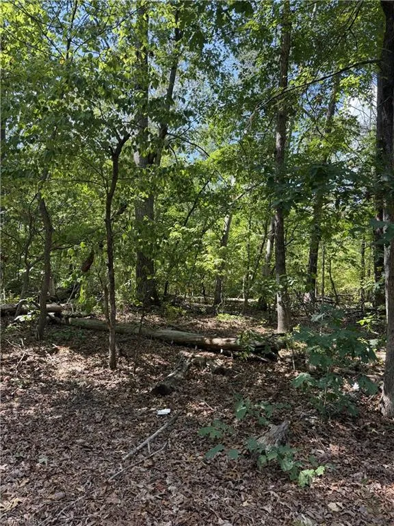 00000 Mizpah Church Road Reidsville, NC 27320