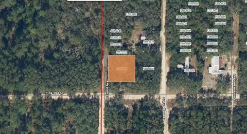 Pine Tree Drive