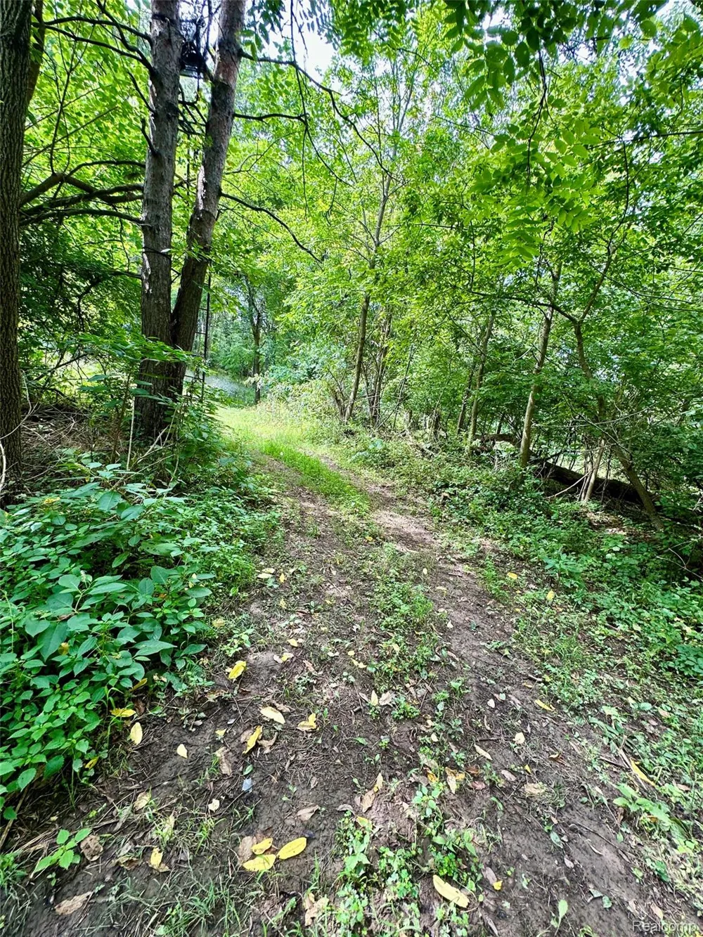 4520 Dutton Road Iosco Township, MI 48137