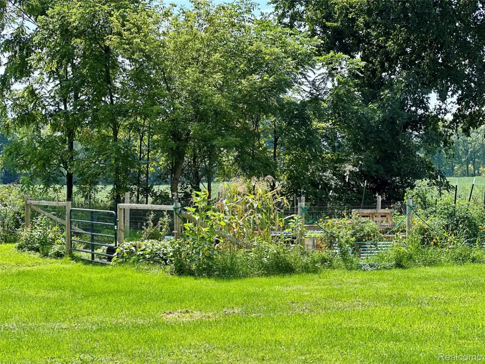 4520 Dutton Road Iosco Township, MI 48137