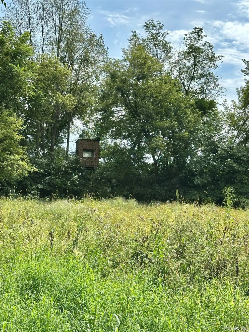 4520 Dutton Road Iosco Township, MI 48137