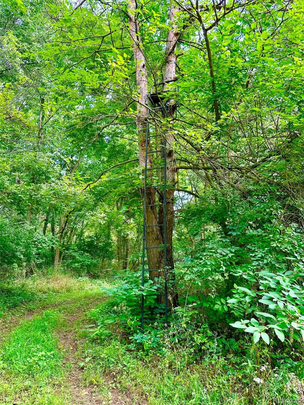 4520 Dutton Road Iosco Township, MI 48137