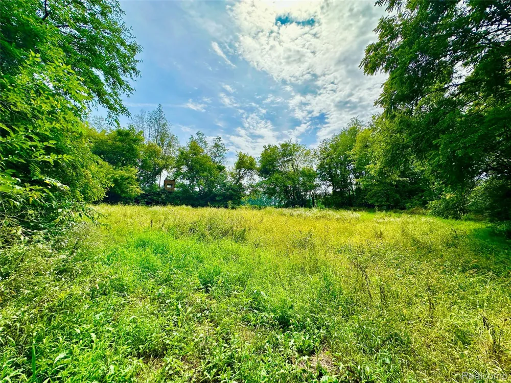 4520 Dutton Road Iosco Township, MI 48137