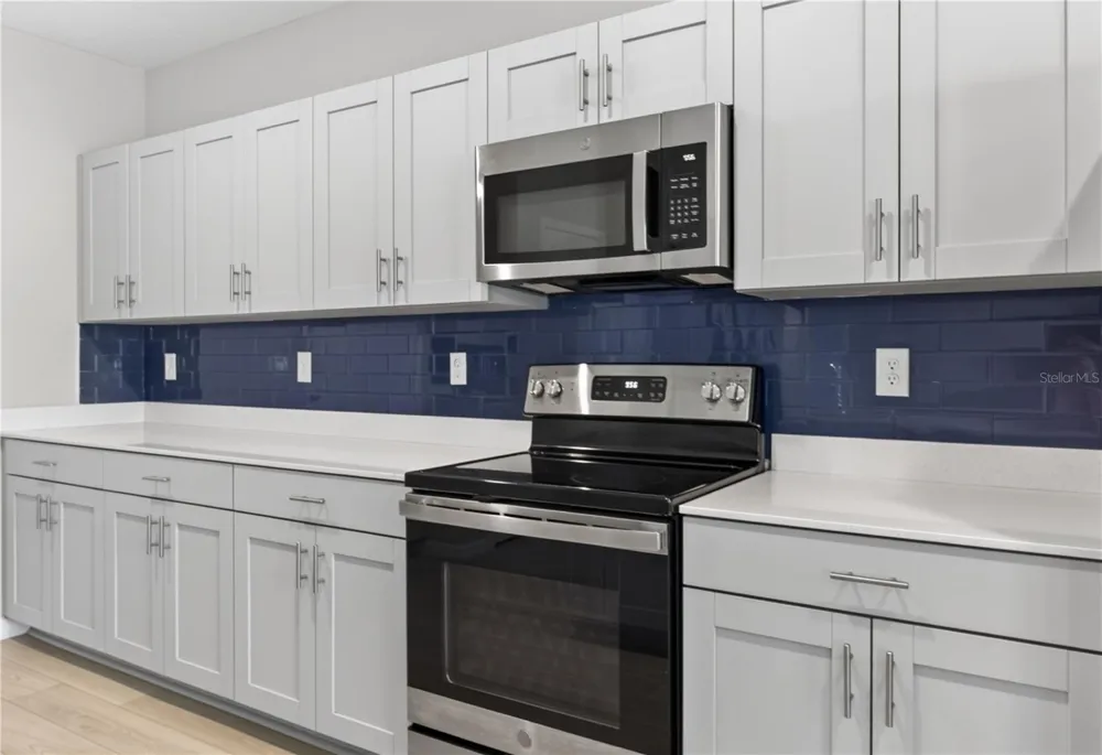 7860 PEACE LILY AVENUE Wesley Chapel, FL 33545