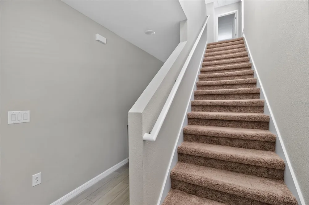 7860 PEACE LILY AVENUE Wesley Chapel, FL 33545