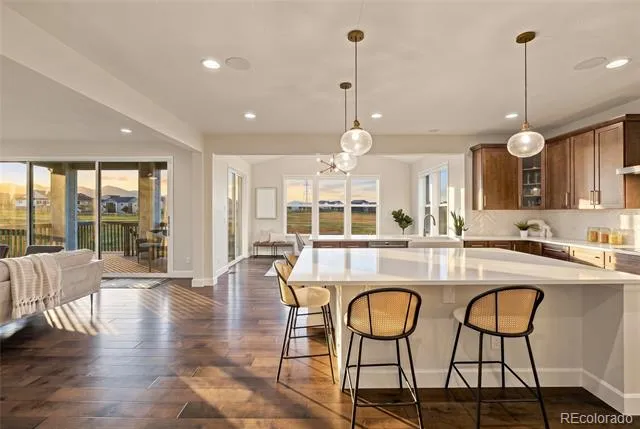 9105 Swan River Street Littleton, CO 80125