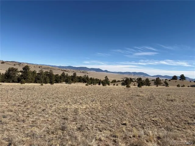 367 Arikara Trail Hartsel, CO 80449