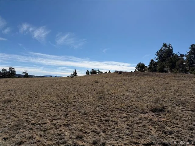 367 Arikara Trail Hartsel, CO 80449