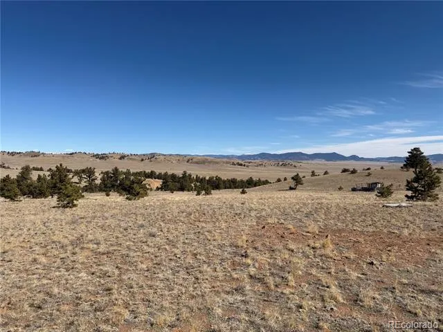 367 Arikara Trail Hartsel, CO 80449