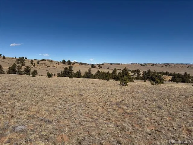 367 Arikara Trail Hartsel, CO 80449