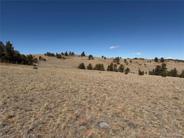 367 Arikara Trail Hartsel, CO 80449