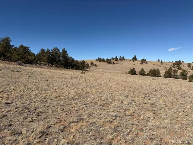 367 Arikara Trail Hartsel, CO 80449