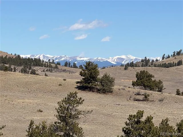 367 Arikara Trail Hartsel, CO 80449