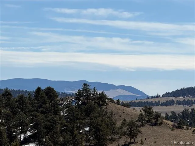 367 Arikara Trail Hartsel, CO 80449